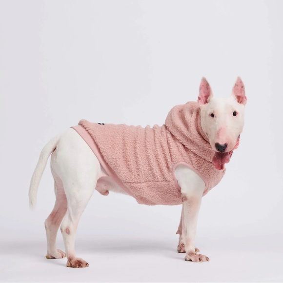 Spark Paws Dog Nwt Spark Paws Teddy Sherpa Jacket Xl Poshmark